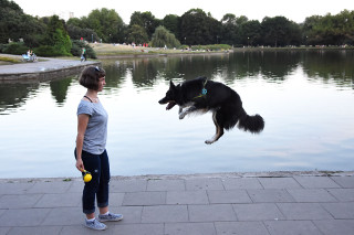 Bona podczas spaceru z CALMEAN Pet Tracker